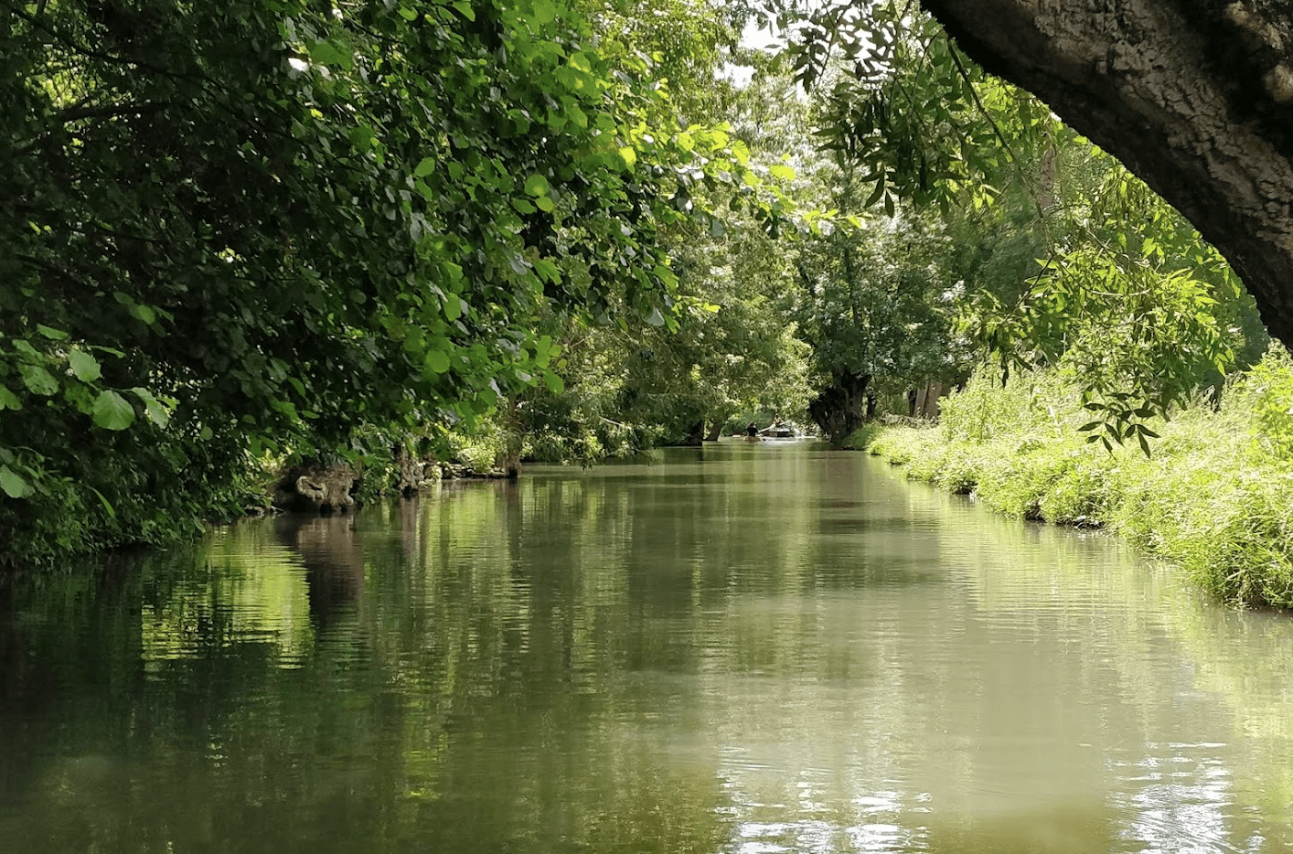 Les marais